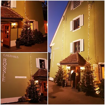 Отель Roessle 2*